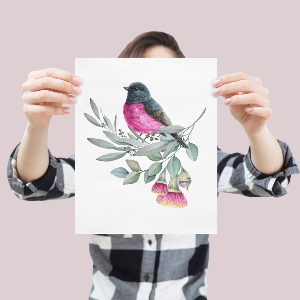 Pink Robin Bird Wall Art Watercolor Illustration Print Poster Card Unframed - Picture 4 of 7